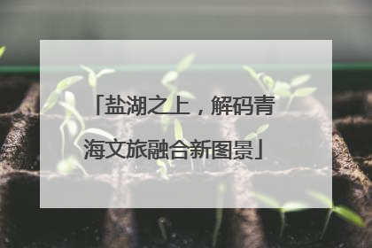 盐湖之上，解码青海文旅融合新图景
