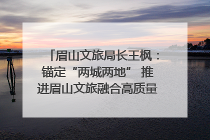 眉山文旅局长王枫：锚定“两城两地” 推进眉山文旅融合高质量发展｜文旅局长说