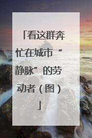 看这群奔忙在城市“静脉”的劳动者（图）