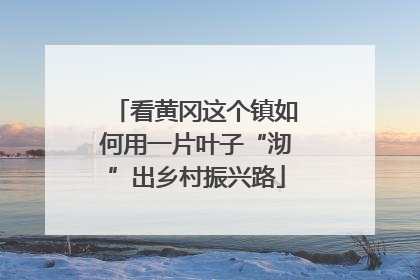 看黄冈这个镇如何用一片叶子“沏”出乡村振兴路