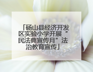 砀山县经济开发区实验小学开展“民法典宣传月”法治教育宣传