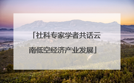 社科专家学者共话云南低空经济产业发展