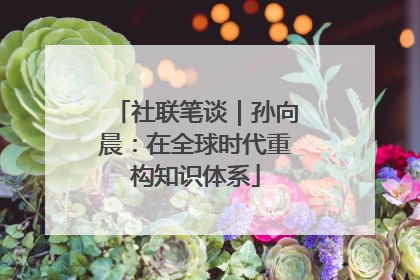 社联笔谈｜孙向晨：在全球时代重构知识体系