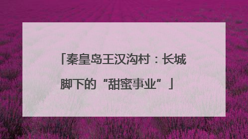 秦皇岛王汉沟村：长城脚下的“甜蜜事业”