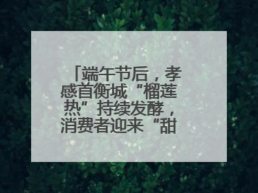 端午节后，孝感首衡城“榴莲热”持续发酵，消费者迎来“甜蜜”囤货期
