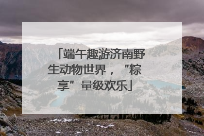 端午趣游济南野生动物世界，“粽享”量级欢乐