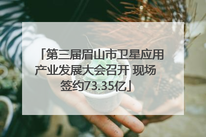 第三届眉山市卫星应用产业发展大会召开 现场签约73.35亿