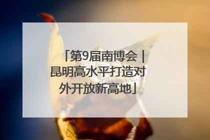 第9届南博会｜昆明高水平打造对外开放新高地