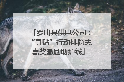 罗山县供电公司：“寻贴”行动排隐患 嘉奖激励助护线