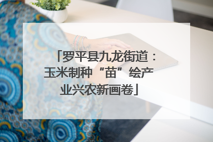 罗平县九龙街道：玉米制种“苗”绘产业兴农新画卷
