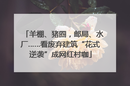 羊棚、猪圈，邮局、水厂……看废弃建筑“花式逆袭”成网红村咖