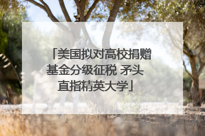美国拟对高校捐赠基金分级征税 矛头直指精英大学