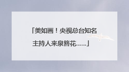 美如画！央视总台知名主持人来泉簪花……