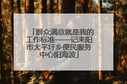 群众满意就是我的工作标准——记耒阳市太平圩乡便民服务中心阳海波