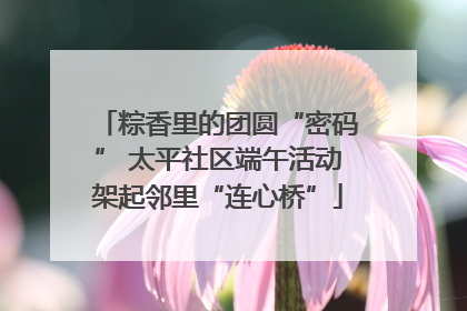 粽香里的团圆“密码” 太平社区端午活动架起邻里“连心桥”