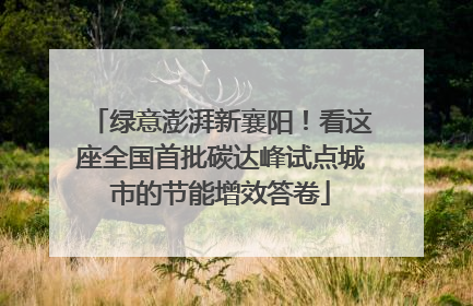 绿意澎湃新襄阳！看这座全国首批碳达峰试点城市的节能增效答卷