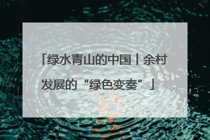 绿水青山的中国丨余村发展的“绿色变奏”