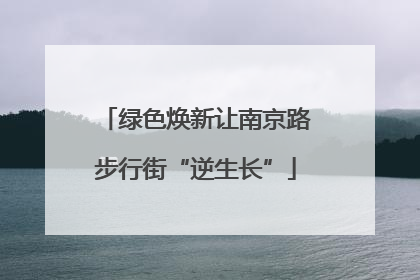 绿色焕新让南京路步行街“逆生长”