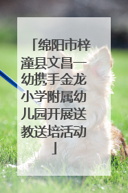 绵阳市梓潼县文昌一幼携手金龙小学附属幼儿园开展送教送培活动