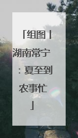 组图丨湖南常宁：夏至到 农事忙