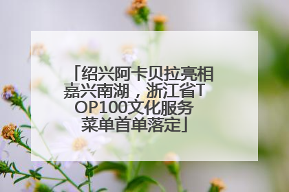 绍兴阿卡贝拉亮相嘉兴南湖，浙江省TOP100文化服务菜单首单落定