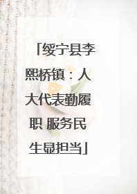 绥宁县李熙桥镇：人大代表勤履职 服务民生显担当