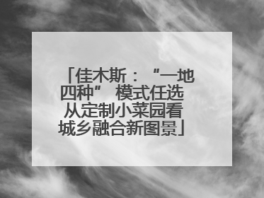 佳木斯：“一地四种” 模式任选 从定制小菜园看城乡融合新图景