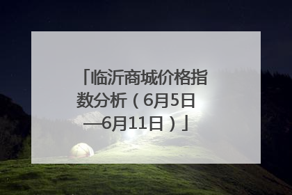 临沂商城价格指数分析（6月5日—6月11日）