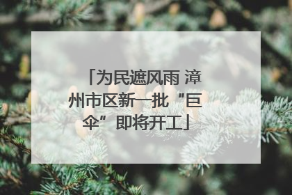 为民遮风雨 漳州市区新一批“巨伞”即将开工