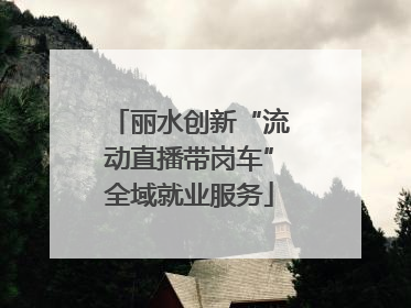 丽水创新“流动直播带岗车”全域就业服务