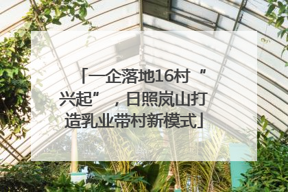 一企落地16村“兴起”，日照岚山打造乳业带村新模式