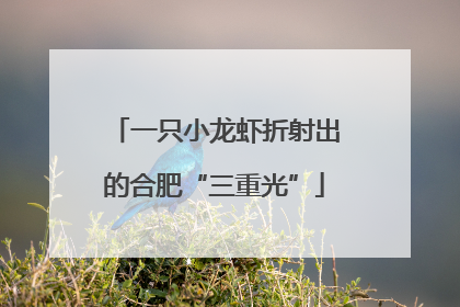 一只小龙虾折射出的合肥“三重光”