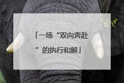 一场“双向奔赴”的执行和解