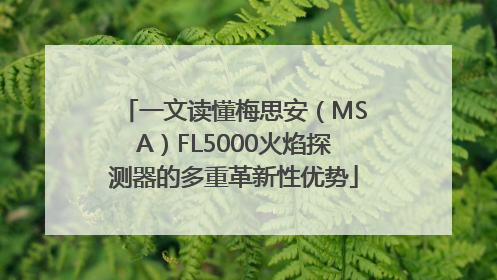 一文读懂梅思安（MSA）FL5000火焰探测器的多重革新性优势