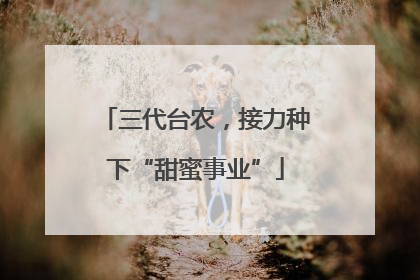 三代台农，接力种下“甜蜜事业”