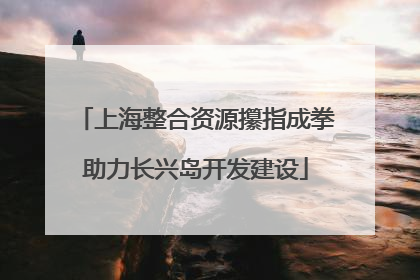 上海整合资源攥指成拳助力长兴岛开发建设