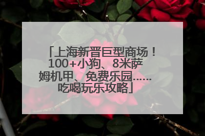 上海新晋巨型商场！100+小狗、8米萨姆机甲、免费乐园……吃喝玩乐攻略
