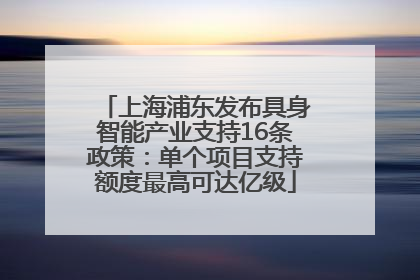 上海浦东发布具身智能产业支持16条政策：单个项目支持额度最高可达亿级