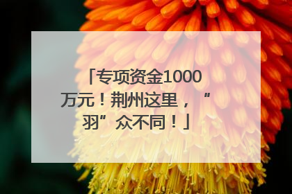 专项资金1000万元！荆州这里，“羽”众不同！