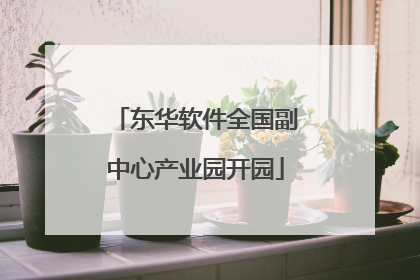 东华软件全国副中心产业园开园
