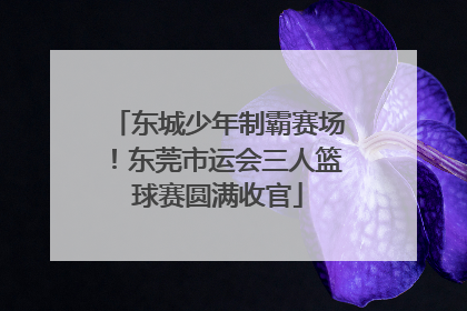 东城少年制霸赛场！东莞市运会三人篮球赛圆满收官