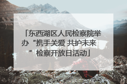 东西湖区人民检察院举办“携手关爱 共护未来”检察开放日活动