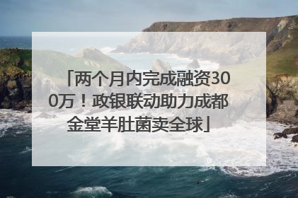 两个月内完成融资300万！政银联动助力成都金堂羊肚菌卖全球