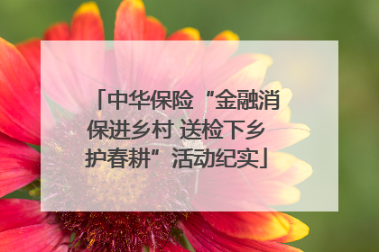 中华保险“金融消保进乡村 送检下乡护春耕”活动纪实
