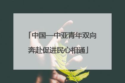 中国—中亚青年双向奔赴促进民心相通