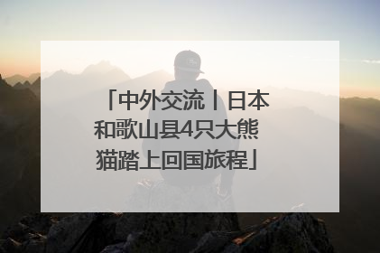 中外交流丨日本和歌山县4只大熊猫踏上回国旅程