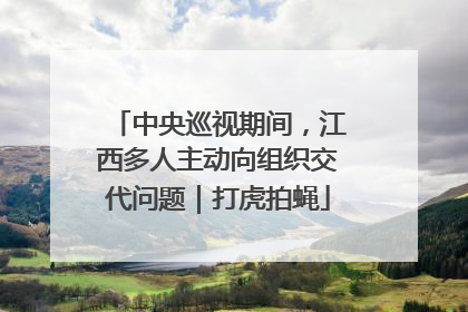 中央巡视期间，江西多人主动向组织交代问题｜打虎拍蝇