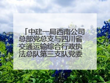 中建一局西南公司总部党总支与四川省交通运输综合行政执法总队第三支队党委、万源市草坝镇莲花院村党支部开展党建联建