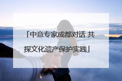 中意专家成都对话 共探文化遗产保护实践