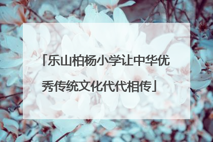 乐山柏杨小学让中华优秀传统文化代代相传